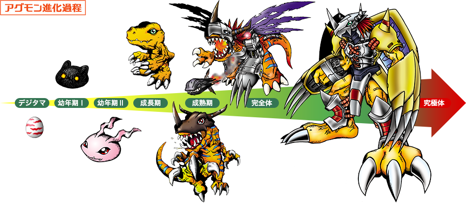 Diagrama de Digievolução de Digitama até Wargreymon